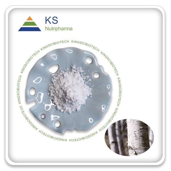 برچ کی چھال کا عرق Betulin