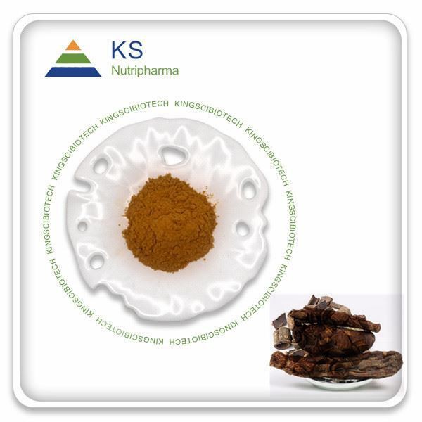 Cistanche پاؤڈر