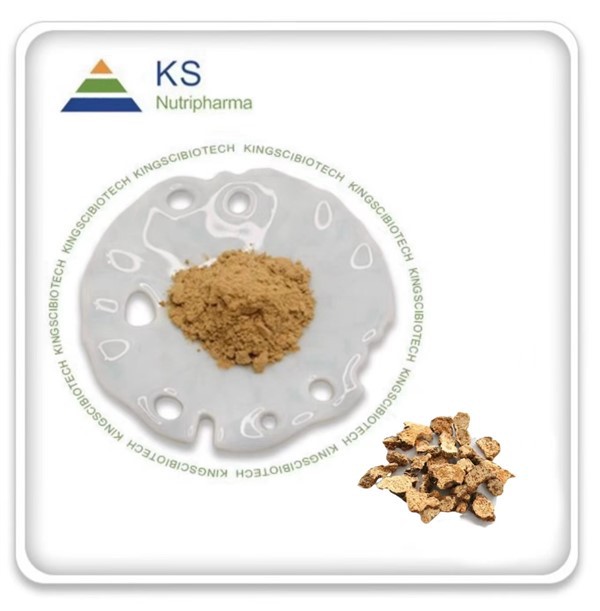 Atractyodis Rhizoma Extract